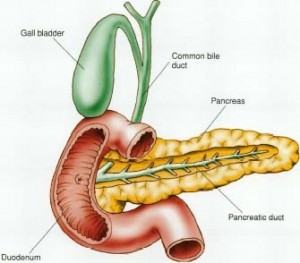 Pancreatitis Pancreatitis